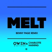 Melt (Benny Page Remix) artwork