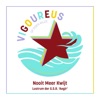 Nooit Meer Kwijt - Single