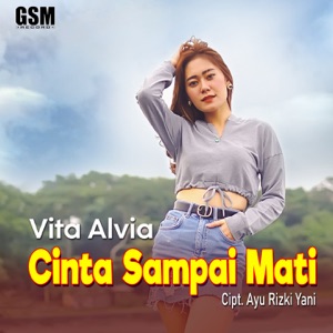Vita Alvia - Cinta Sampai Mati - 排舞 音乐