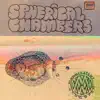 Spherical Chambers - Single album lyrics, reviews, download