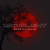 Moonlight (Sped up) [Remix] artwork