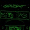 Illuminatus - ericthehammer lyrics