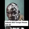 Stream & download Habula Mid Tempo House Jam 45 - Single