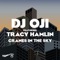 Cranes In The Sky (feat. Tracy Hamlin) - DJ Oji lyrics