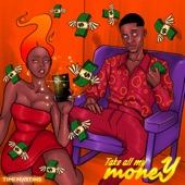 Take All My Money artwork