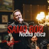 Nocna Ptica - Single