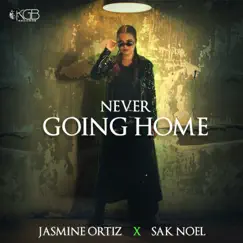 Never Going Home (feat. Sak Noel) [Radio Edit] Song Lyrics