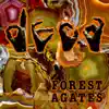 Forest Agates album lyrics, reviews, download