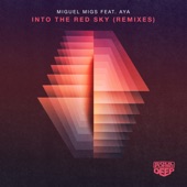 Into The Red Sky (feat. Aya) [Remixes] - EP artwork
