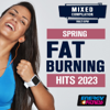 Spring Fat Burning Hits 2023 (15 Tracks Non-Stop Mixed Compilation for Fitness & Workout - Various Bpm) - 群星
