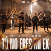 Tú No Eres Mi Ex artwork