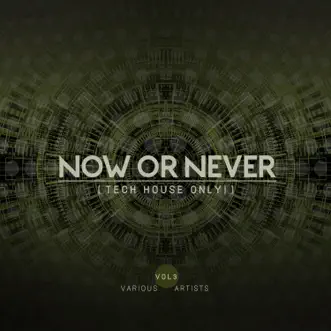 Now or Never, Vol. 3 (Tech House ONLY!) by Various Artists album reviews, ratings, credits