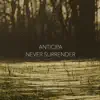 Never Surrender album lyrics, reviews, download