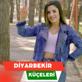 Diyarbekir Küçeleri Halay - Aylin Demir