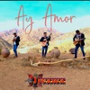 Ay Amor - Single