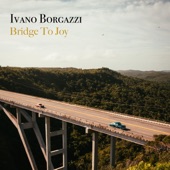 Bridge To Joy artwork