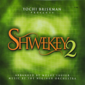 שוואקי 2 - Yaakov Shwekey