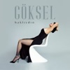 Göksel - Haklıydın