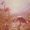 Flamingos (feat. Aku) - Single album lyrics, reviews, download