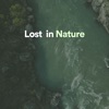Nature Sounds - Relaxing Bird Sounds