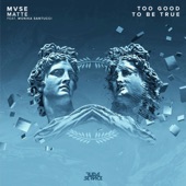 Too Good To Be True (feat. Monika Santucci) artwork