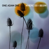 One Adam One - Living Between the Lines