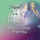 Alikho Elinye Ithemba (Live At The Emperors Palace, 2023) artwork