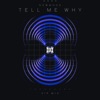 Tell Me Why (VIP Mix) - Single
