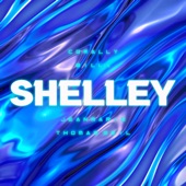 SHELLEY (feat. Thomas Deil) [Summer Mix] artwork