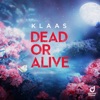 Dead Or Alive - Single