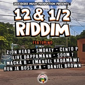 12 & 1/2 Riddim (Instrumental) artwork