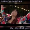 Tonada Gaitera - Single
