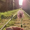 Have You Ever Seen the Rain - Single