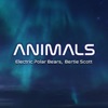 Animals - Single
