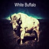 White Buffalo