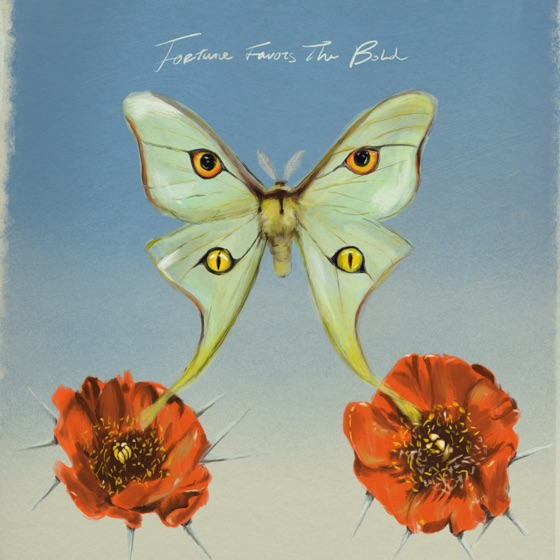 Cover artwork for Fortune Favors The Bold (feat. Tim Gent)