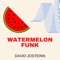 Watermelon Funk - David Josteinn lyrics