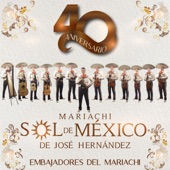 40 Aniversario Embajadores del Mariachi artwork