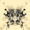 Schizophonia - The Coolhunt