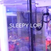 !!!" Sleepy Lofi "!!!