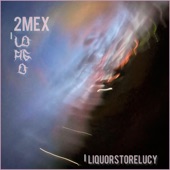Liquor Store Lucy (feat. 2Mex) artwork