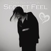 Secret Feel - Single