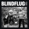 Blindflug (Saiko Remix) artwork