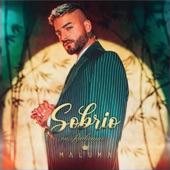 Sobrio (Salsa Version) artwork