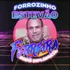 Forrozinho Estevão Ferreira - Single album lyrics, reviews, download