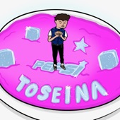 Toseina artwork