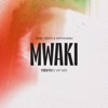 Mwaki (Tiësto's VIP Mix) - Single