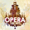 Opera 100 Hits artwork