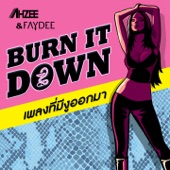 Burn It Down (Extended Mix) artwork