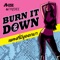 Burn It Down (Radio Edit) artwork